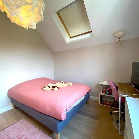 Villa Capsule La Grange Arcade De Jeux Billard 4 300m2 Vicq (Nord)